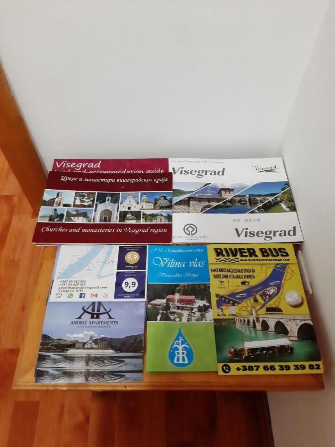 Apartman Andric วิเชกราด ภายนอก รูปภาพ