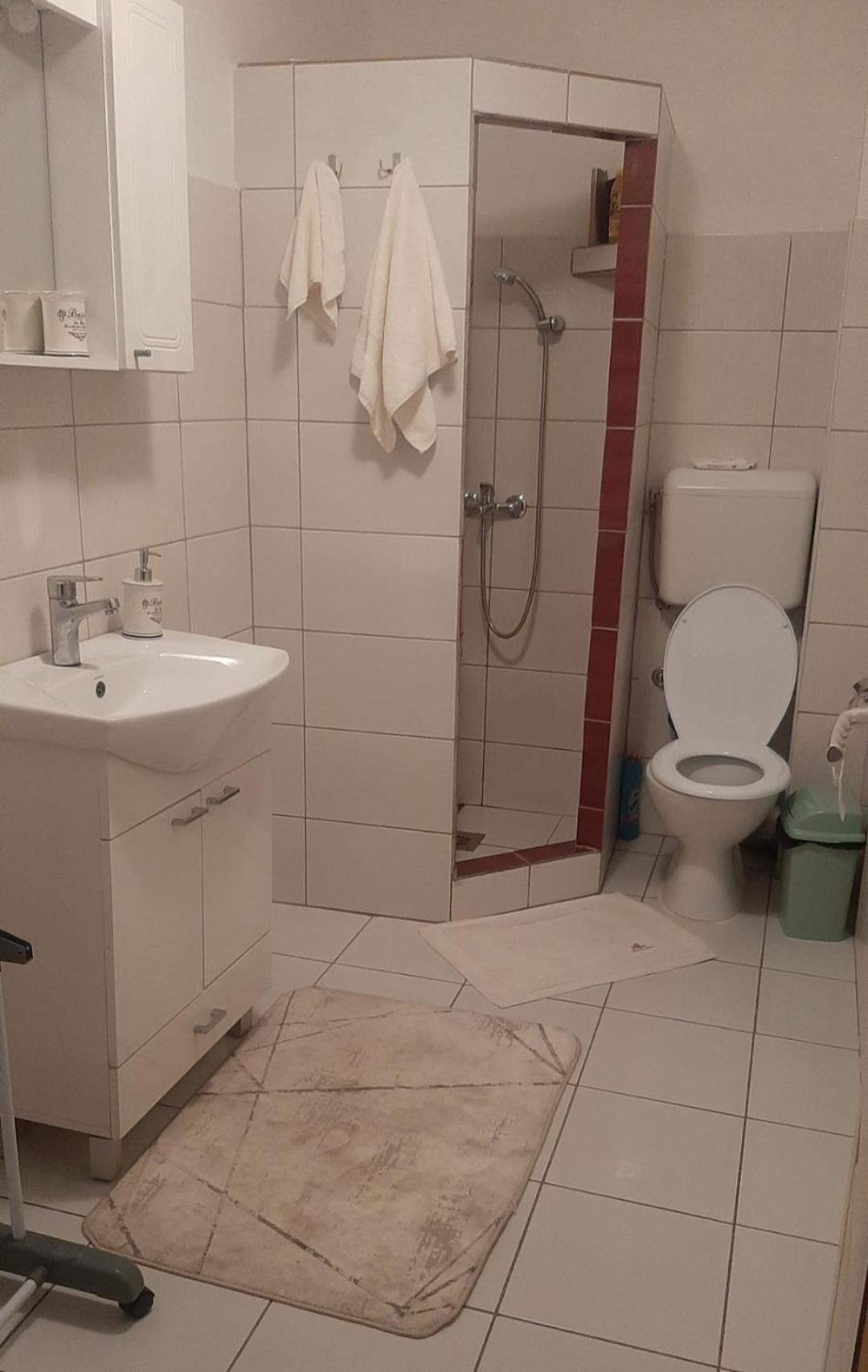 Apartman Andric วิเชกราด ห้อง รูปภาพ